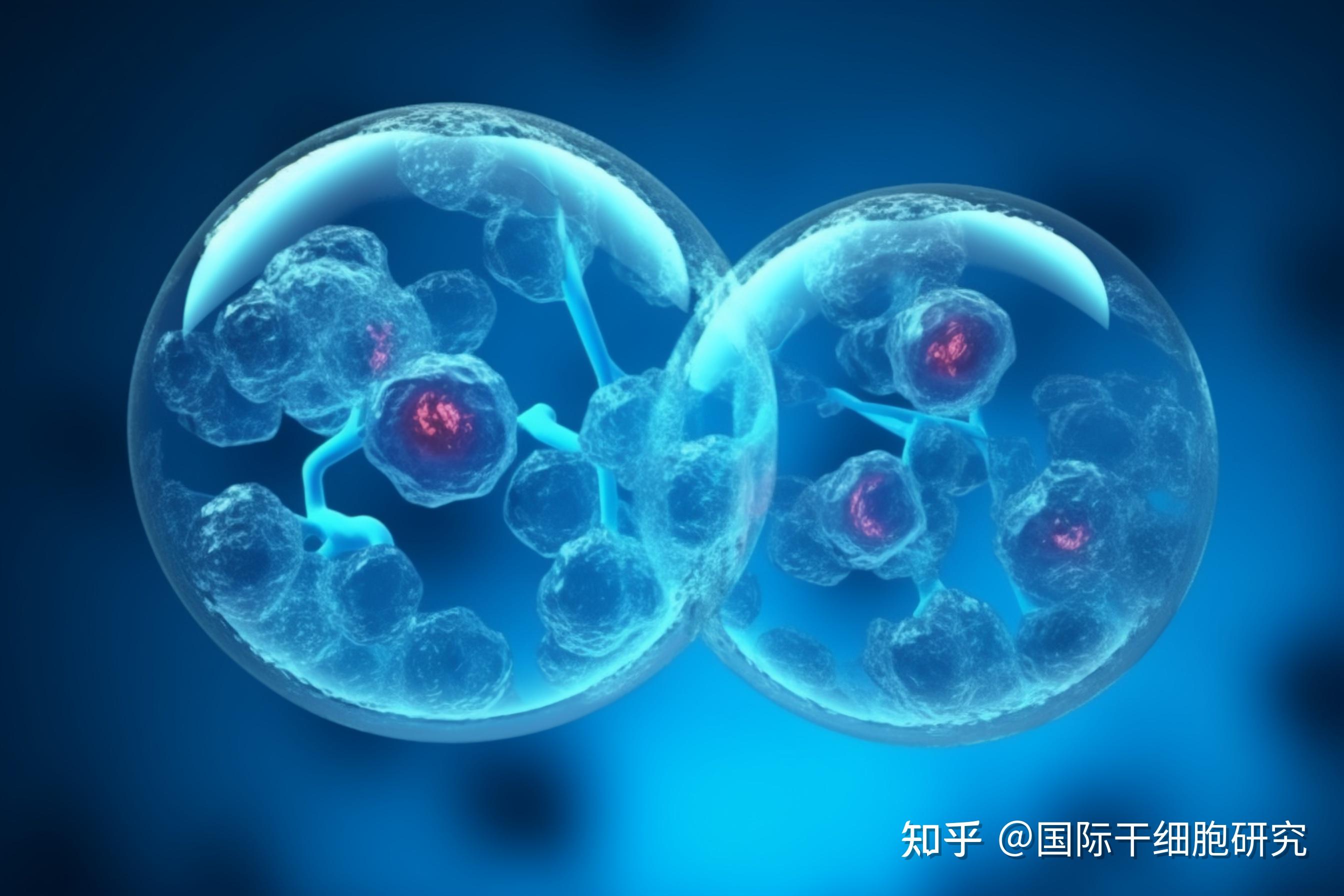 【MSC课堂】细胞界百变女王-间充质干细胞 - 技术前沿 - 生物在线 Lab-on-Web