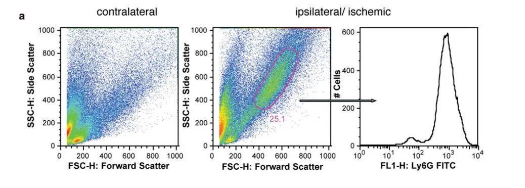 一文读懂流式细胞术 - 知乎