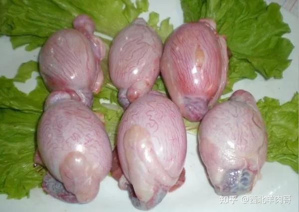 看过来,史上最全羊肉各部位吃法来啦,建议收藏! - 知乎