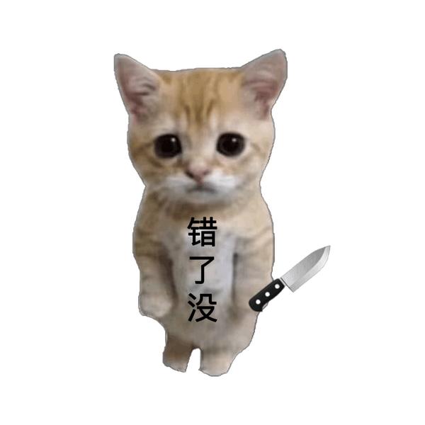 表情包:认错猫咪罚站表情包 - 知乎