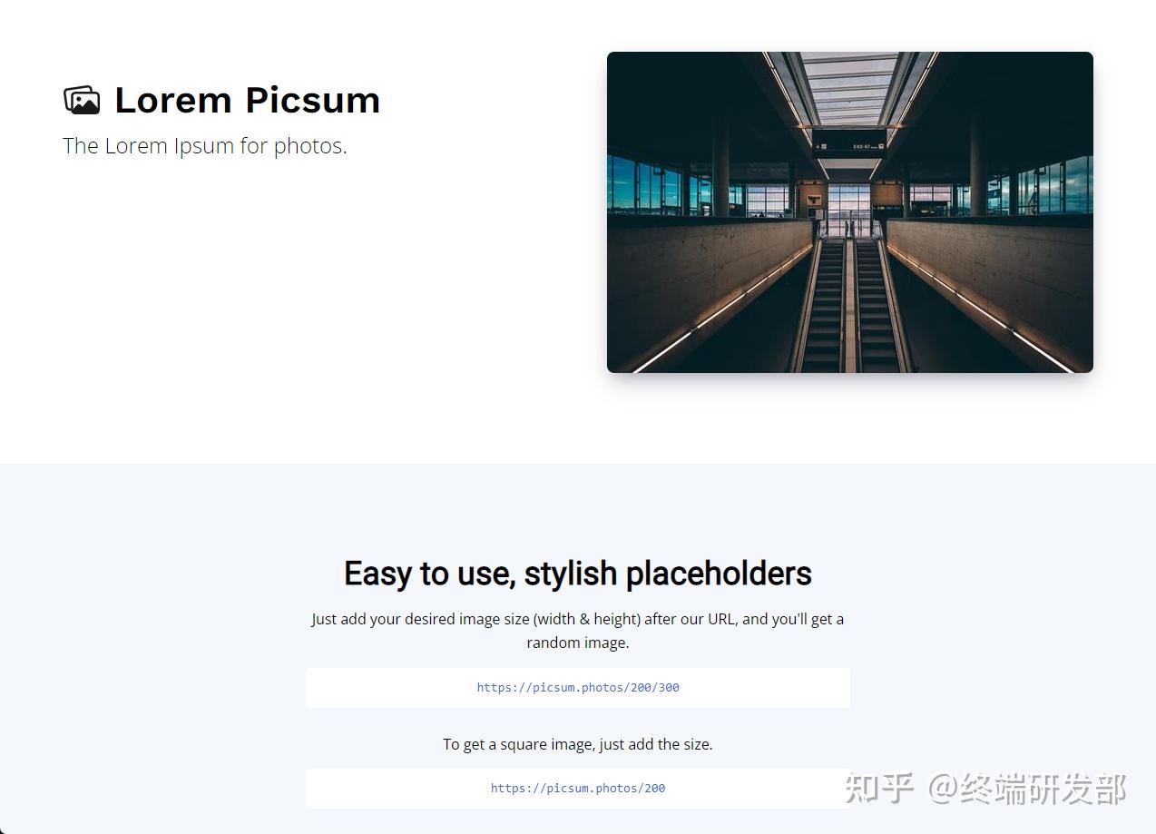 Picsum Api Examples 前端需要的免费在线api接口 ! - 知乎