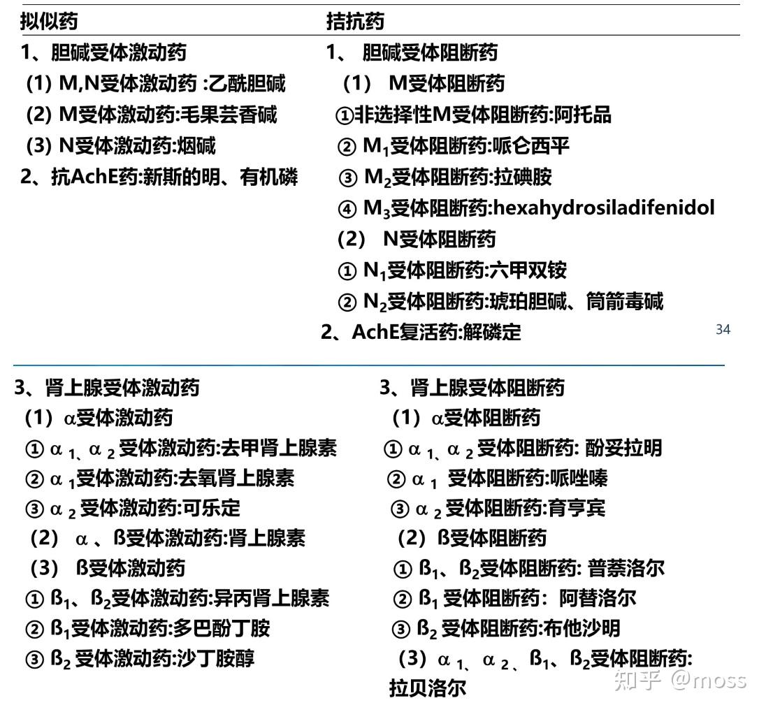 第五六章傳出神經系統藥理概論膽鹼能傳出神經