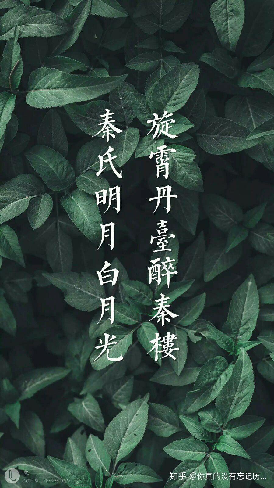 有没有秦霄贤的壁纸