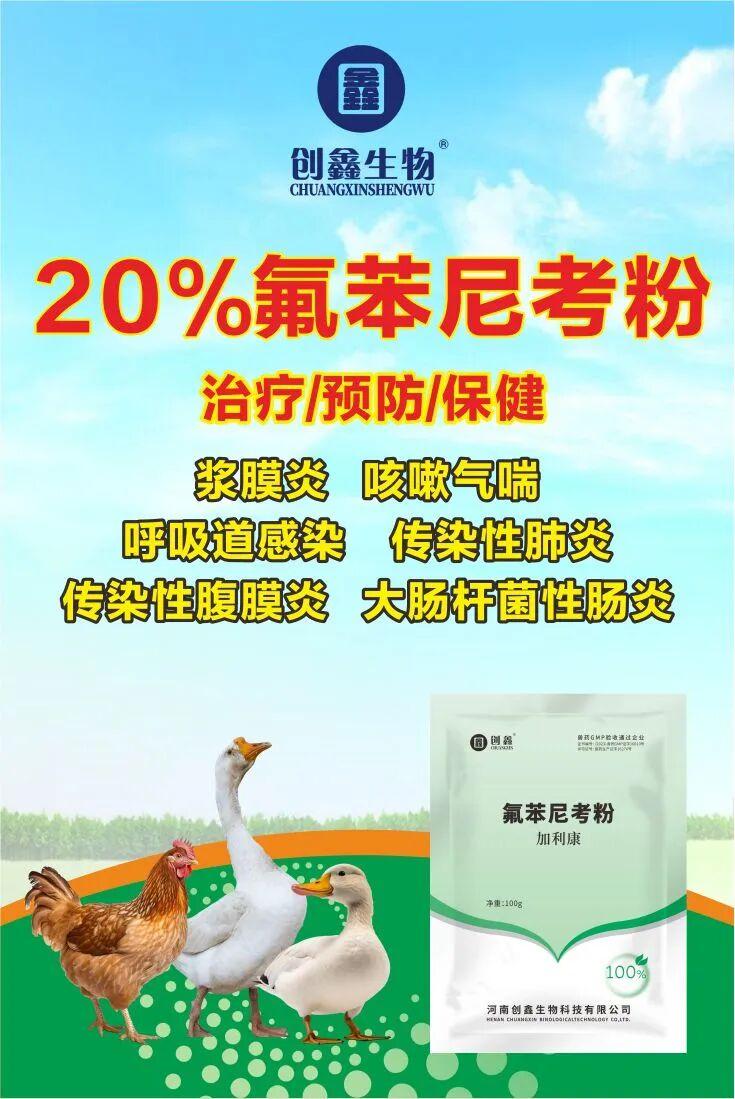 养鸡不容易，为什么每批鸡都会得大肠杆菌？ - 知乎