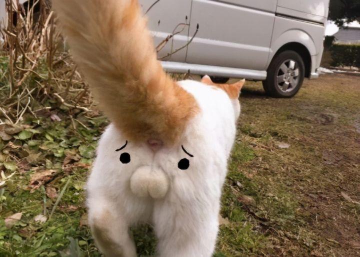 v2-cecf6d3f54d2843503ccbee05d24184a_1440w.jpg?source=172ae18b