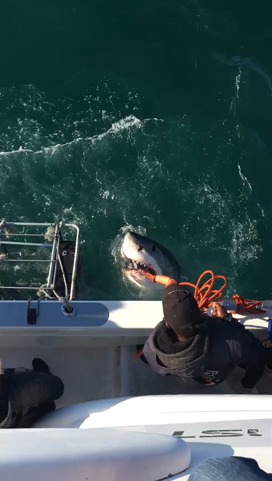 如何看待义工旅行?