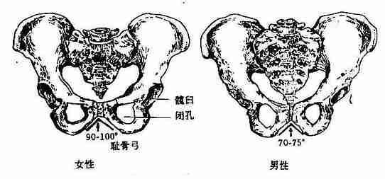 v2-cee59ef06df2b8338622f1e969e7c4eb_1440w.jpg?source=172ae18b