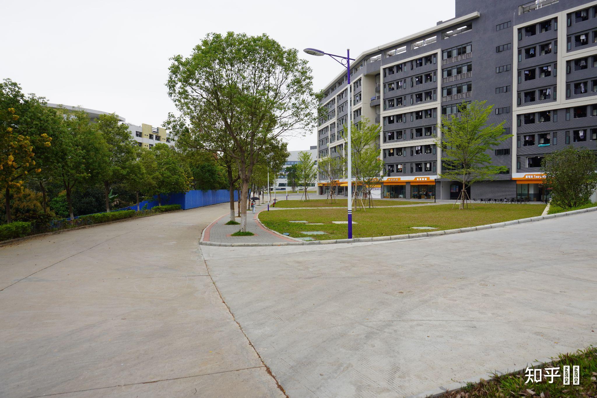 在广州松田职业学院就读是什么体验