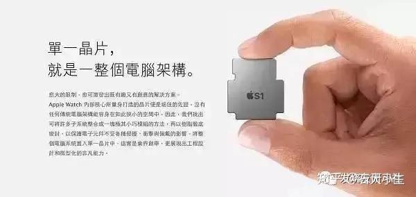 apple watch ultra 2使用的芯片 v2-cefe76be6e4086d5ffbb2b6e3114fc62_r.jpg