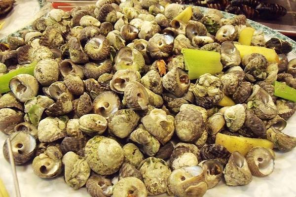 名哥带你去渤海吃海鲜