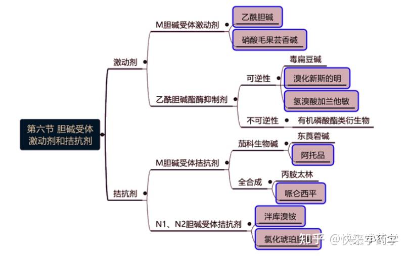 乙酰胆碱考点必备 - 知乎