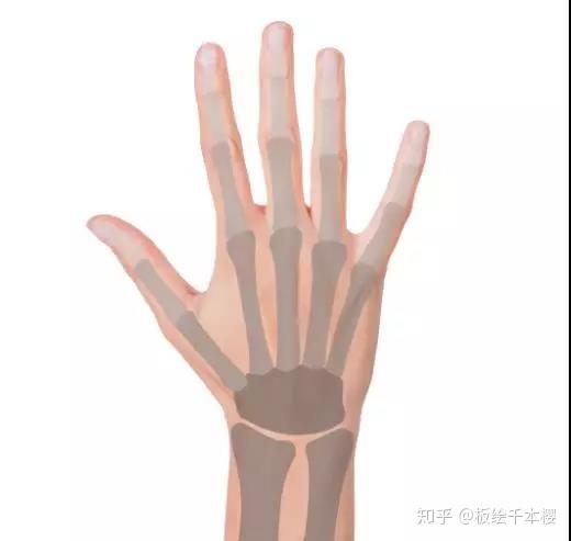 v2-cf1df7beec4da3a56c56e40a1dd8b566_r.jpg