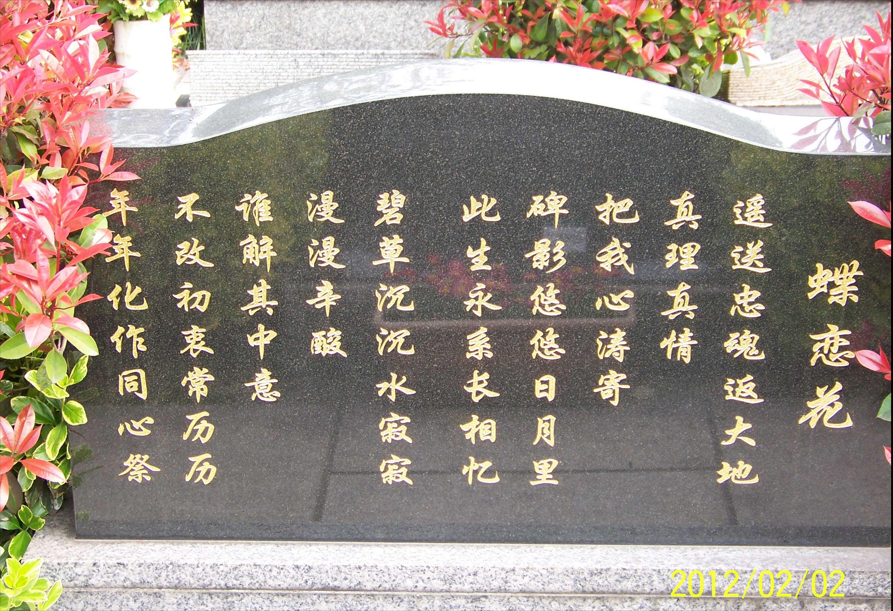 姚文元是唯一活着出狱的四人帮其墓碑上为何写着一女人名字