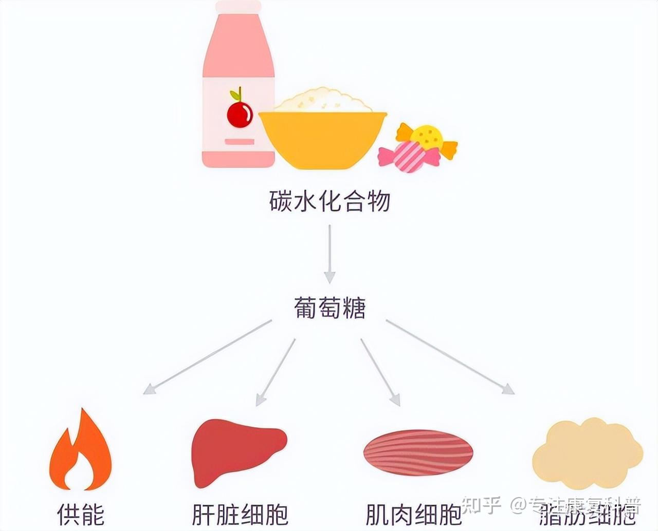因为只要是食物都含有碳水化合物,也就是营养学上的"糖"