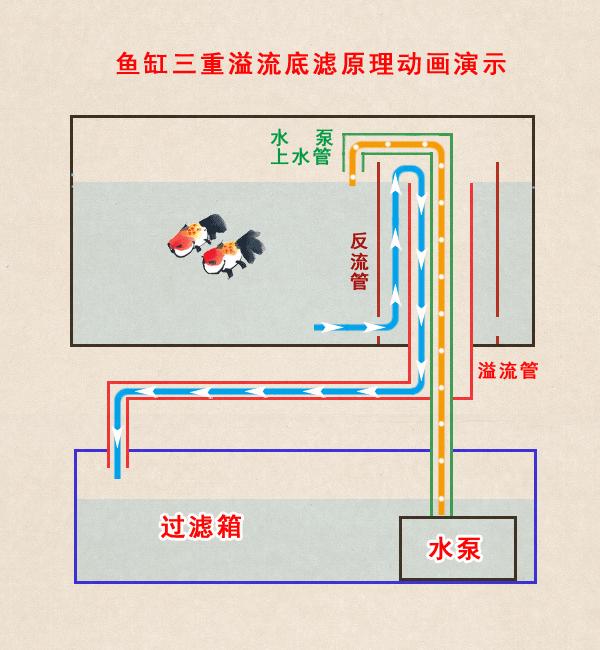 无泵水循环图解图片