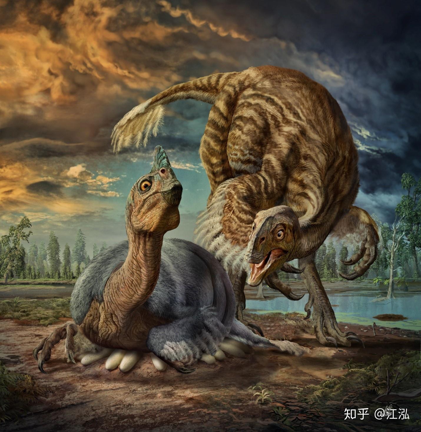 剑角龙Stegoceratops_恐龙图片_恐龙图库恐龙品种图片大全，恐龙复原图高清恐龙图片大图下载