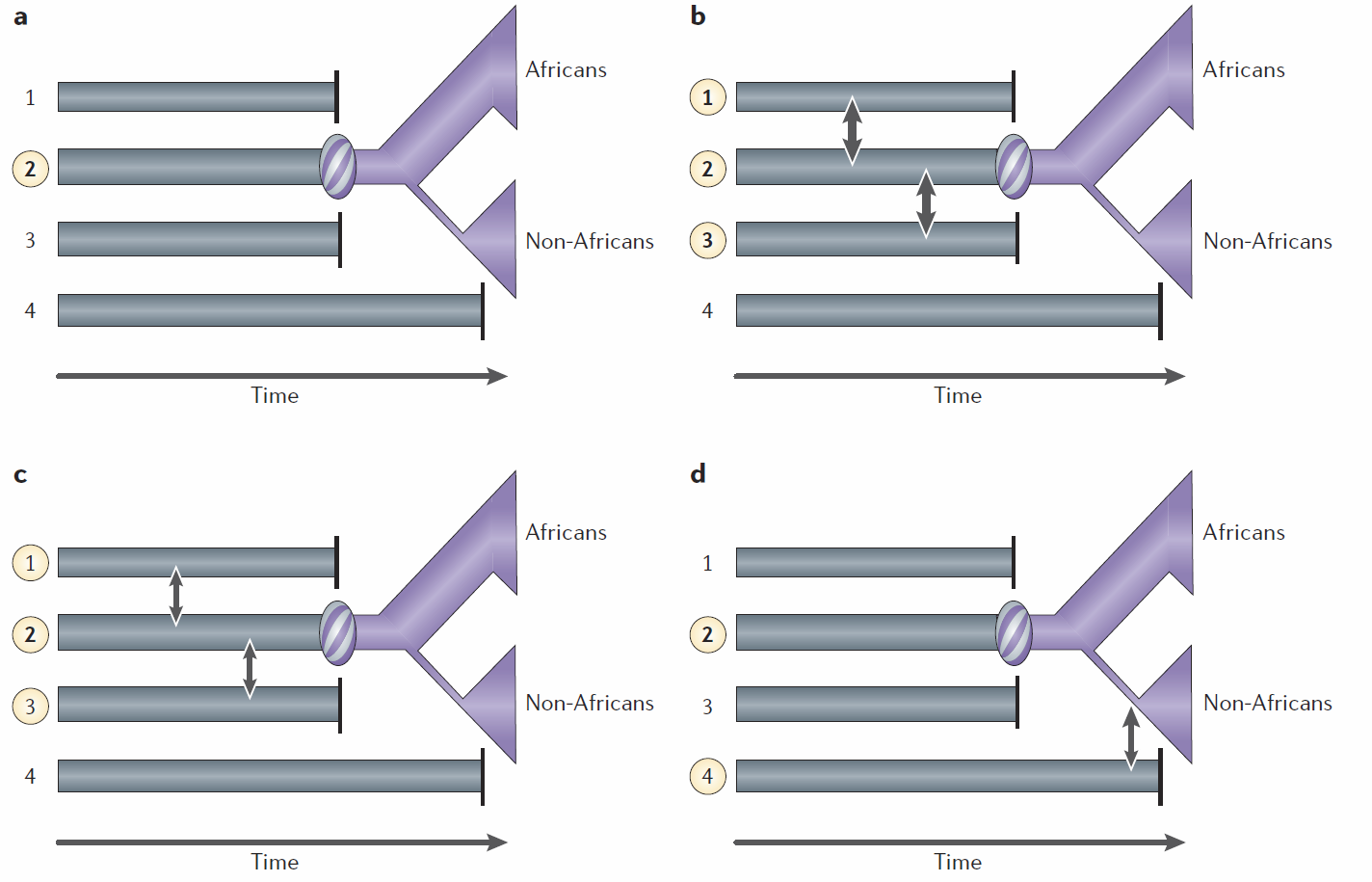 如何评价纪录片《中国通史 2016》关于中国人
