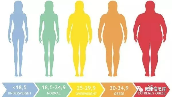 肥胖与癌症的关系，以及如何计算BMI