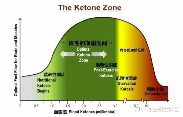 生酮的酮体到底是什么呢? - 知乎