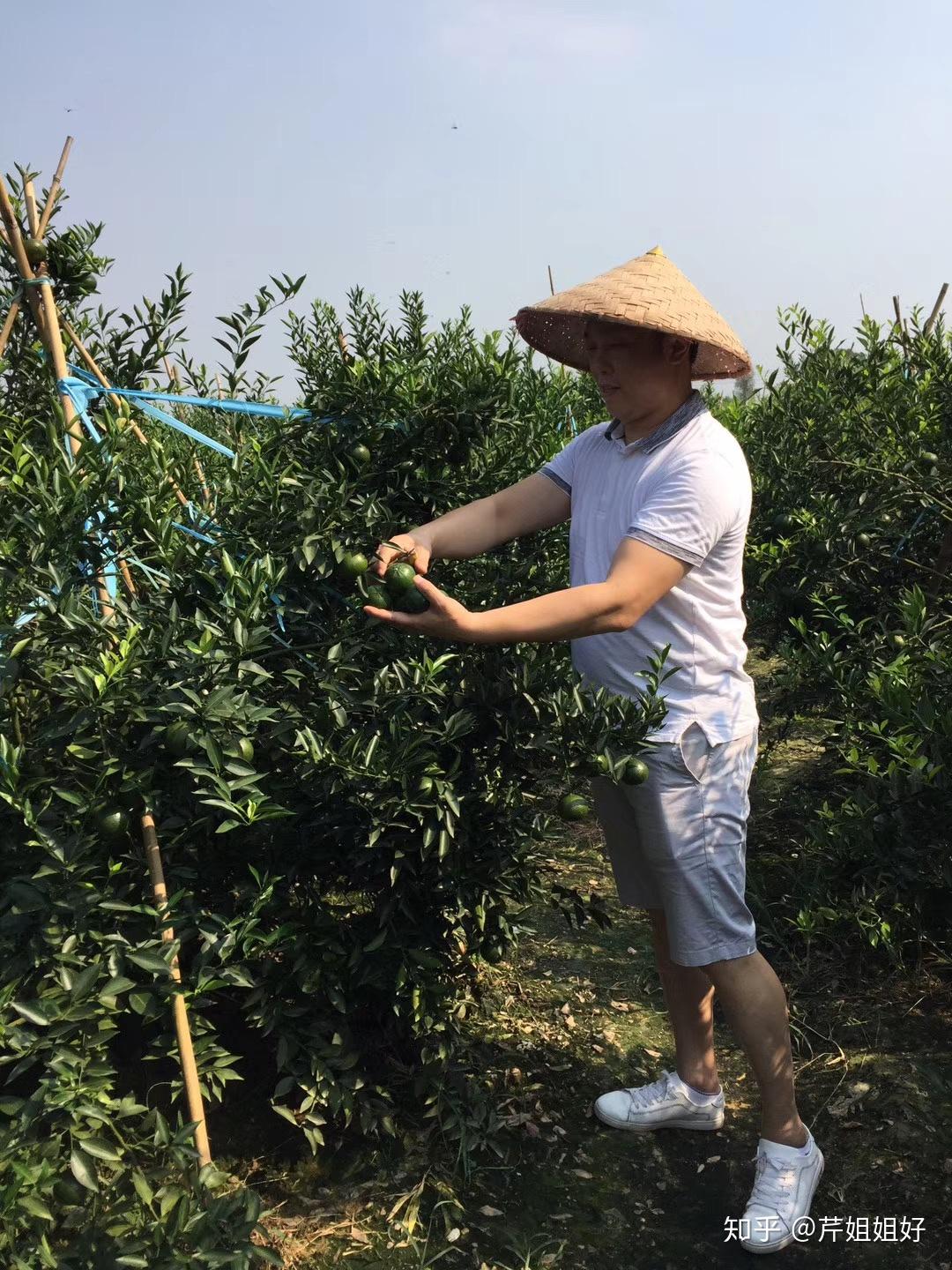 泡水十大神奇作用