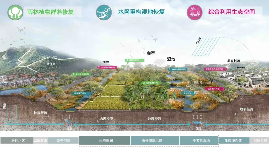 生态系统保护和修复,如何实现质的飞跃? - 知乎