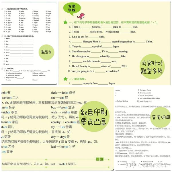 小升初英语语法(三)名词所有格的那点事儿