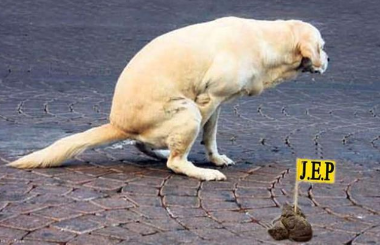 催狗狗拉屎的办法