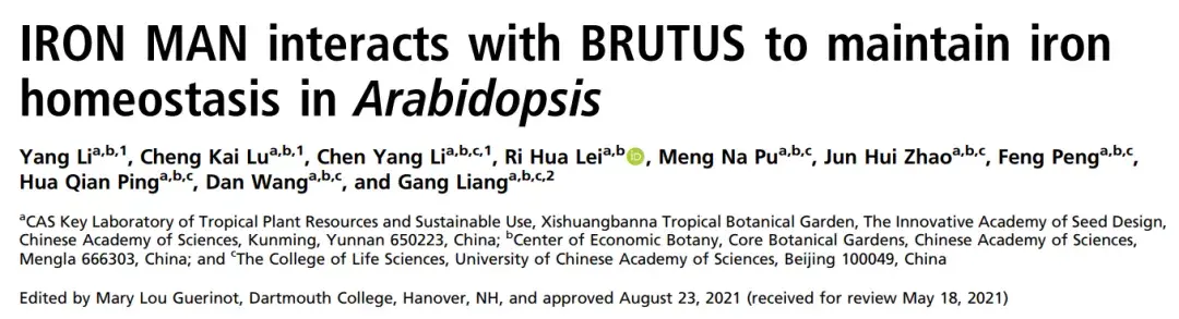 to maintain iron homeostasis in arabidopsis為題發表在美國科學院