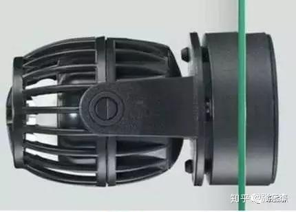 短鲷缸底泥_养短鲷的缸_短鲷缸水体
