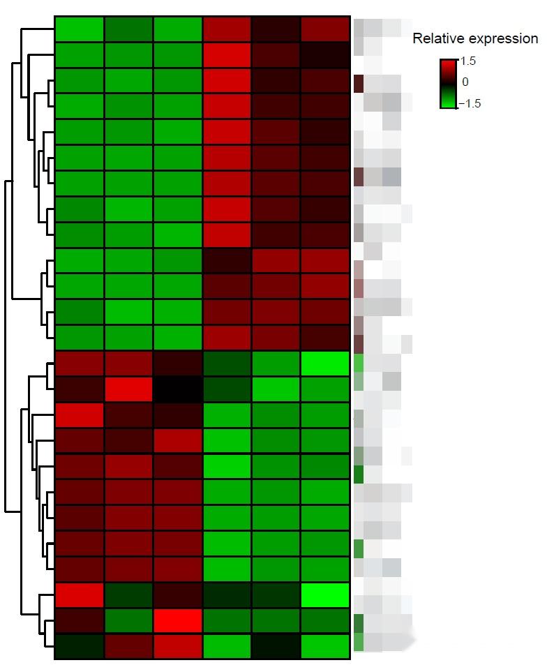 为什么热图里的值还有负数对数转换logarithmictransformation