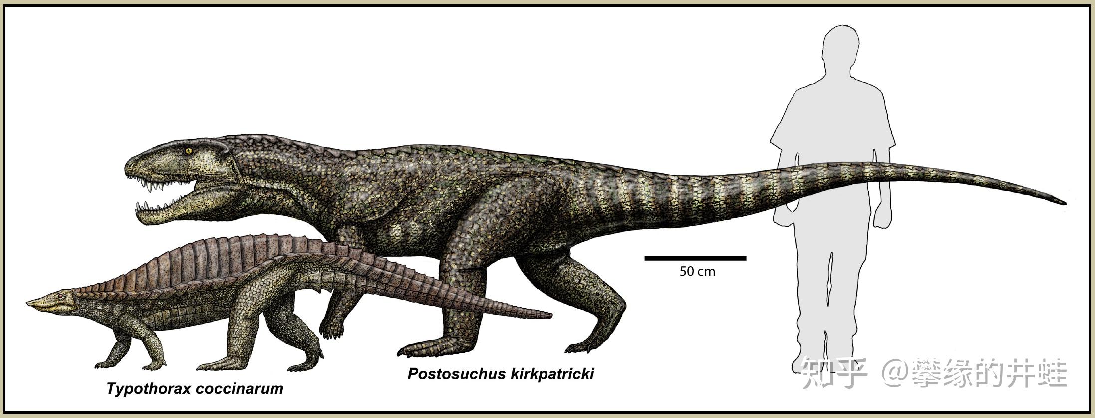 凶手很可能就是《与恐龙同行》第一集出现的波斯特鳄postosuchus(也译