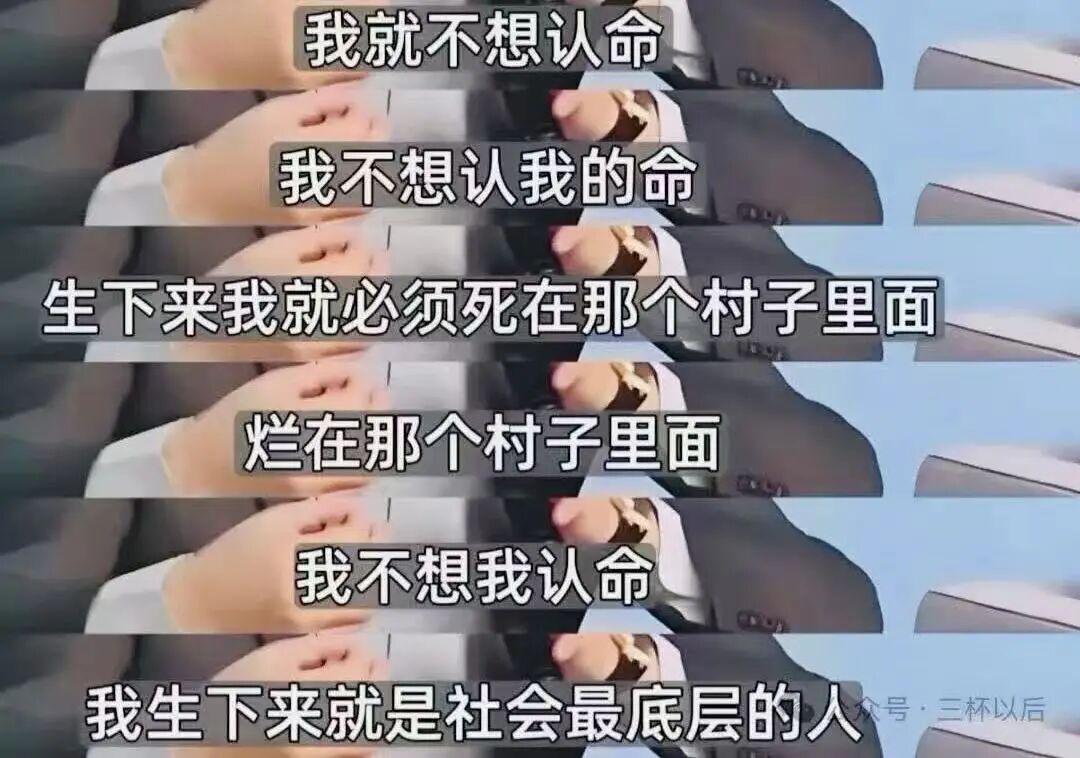 大强子的天使投资人们 - 知乎