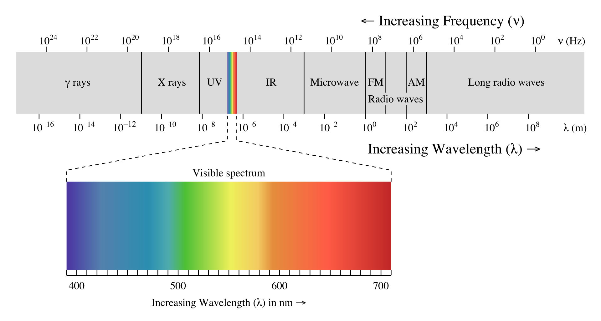 v2-cfd32cfae64a2b61e0ac0315479b82f6_r.jpg