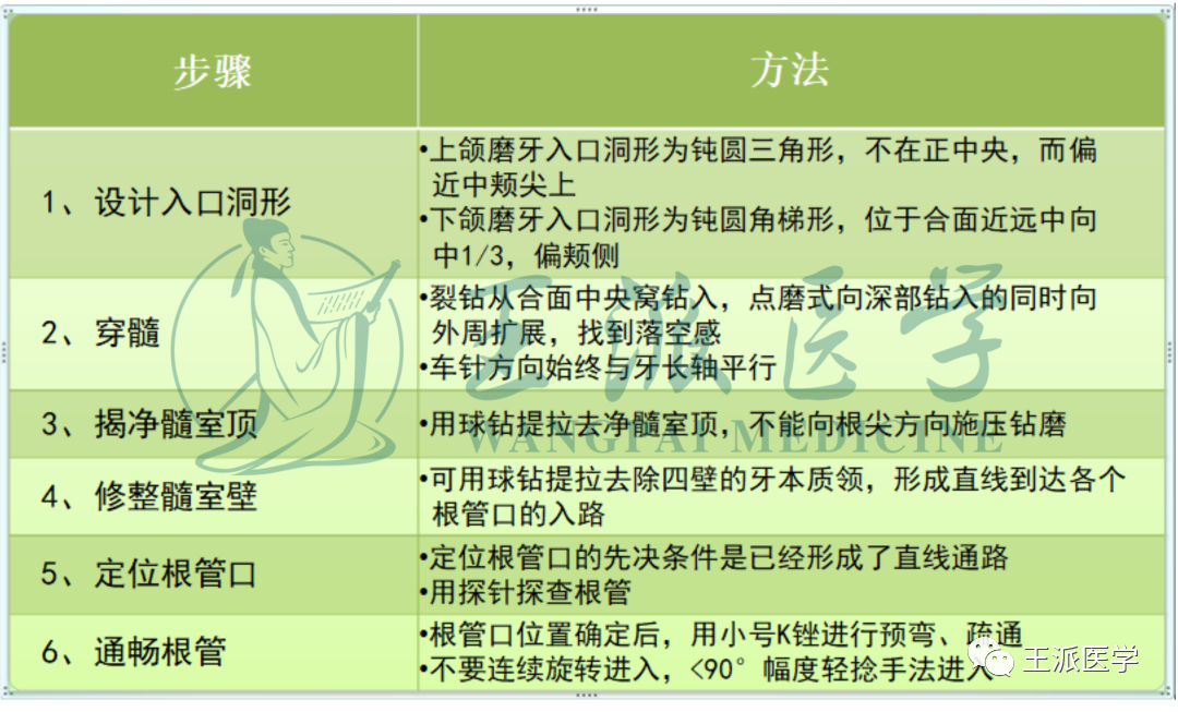 下6开髓图解图片