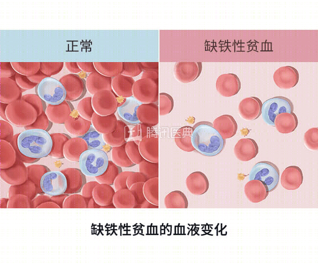 红枣补血?真正有用的是这3类食物,尤其第1个 - 知乎