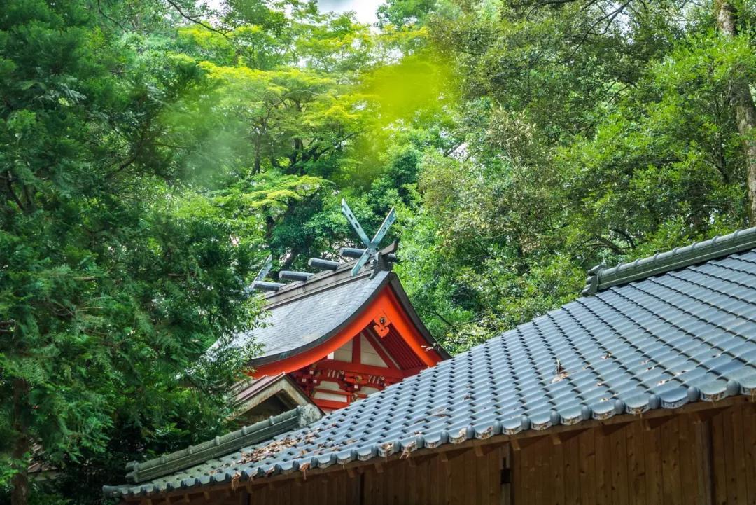 京都塔《名偵探柯南》取景地京都之旅從京都塔開始,距離京都站很近,從