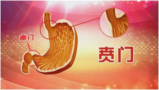 反复的溃疡还会引起粘膜纤维化,形成疤痕,而疤痕挛缩也可导致幽门变窄