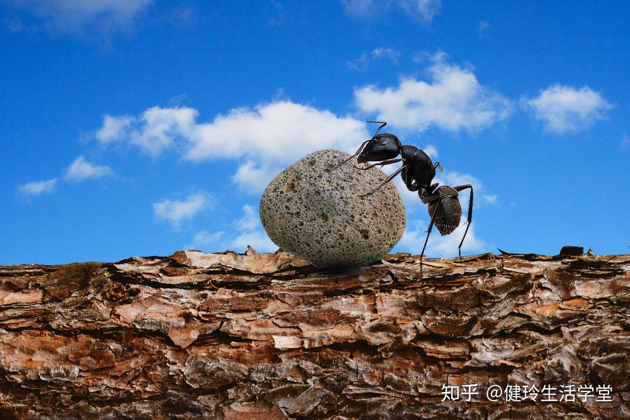 信念的力量下定决心变成一个成功人士