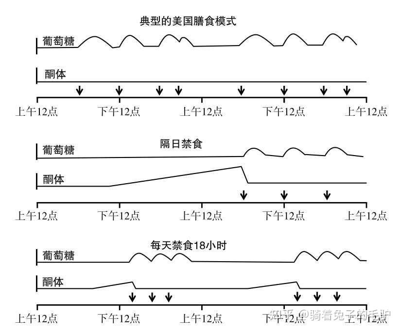 《间歇性禁食》:一本书带你了解什么是间歇性禁食 - 知乎