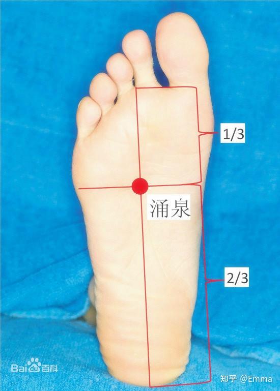 涌泉穴位知多少？ - 知乎