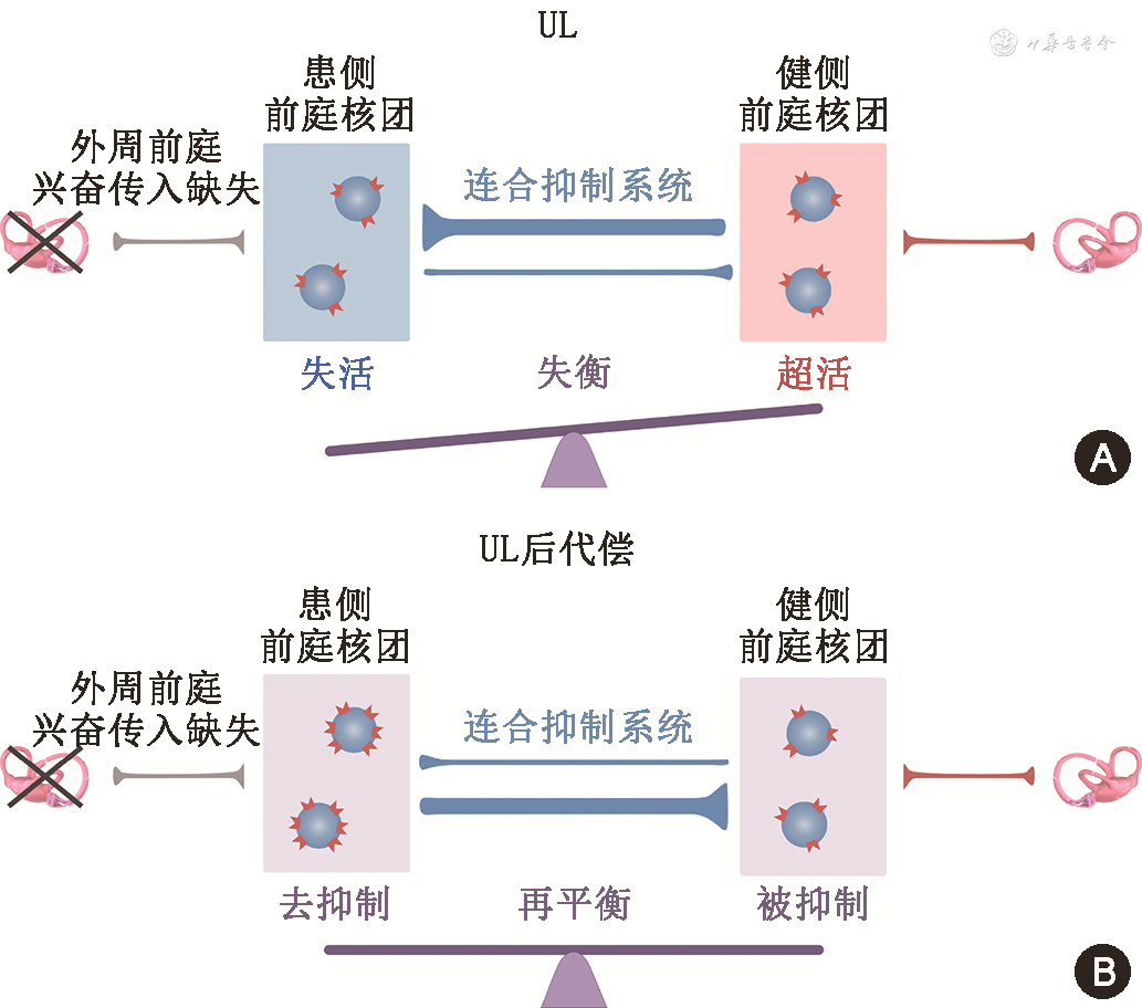 文献综述|前庭代偿机制与前庭康复治疗 - 知乎
