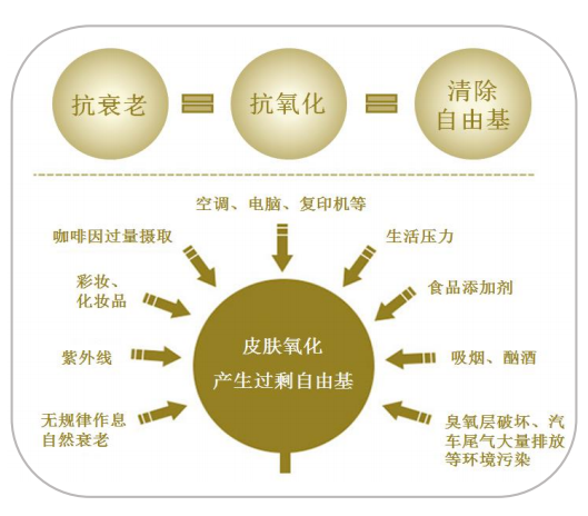 抗氧化建議減少自由基產生的同時補充天然抗氧化劑,提高機體抗氧化