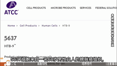 5637细胞培养，人膀胱癌细胞培养攻略 - 知乎