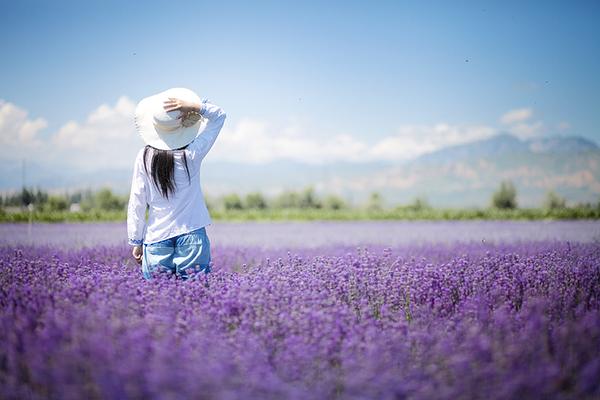 3月至7月 中国最靠谱的追花指南 知乎