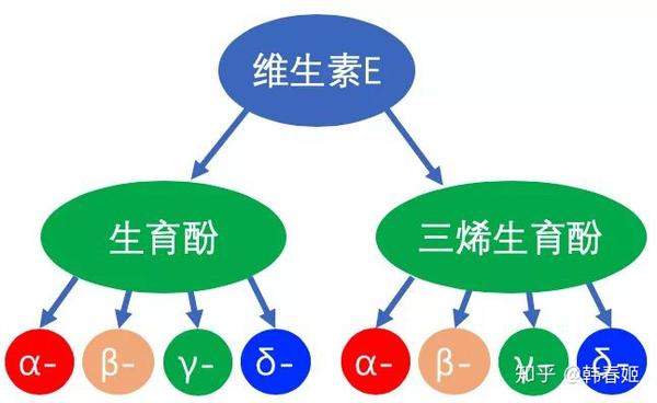 你知道天然维生素e吗 知乎