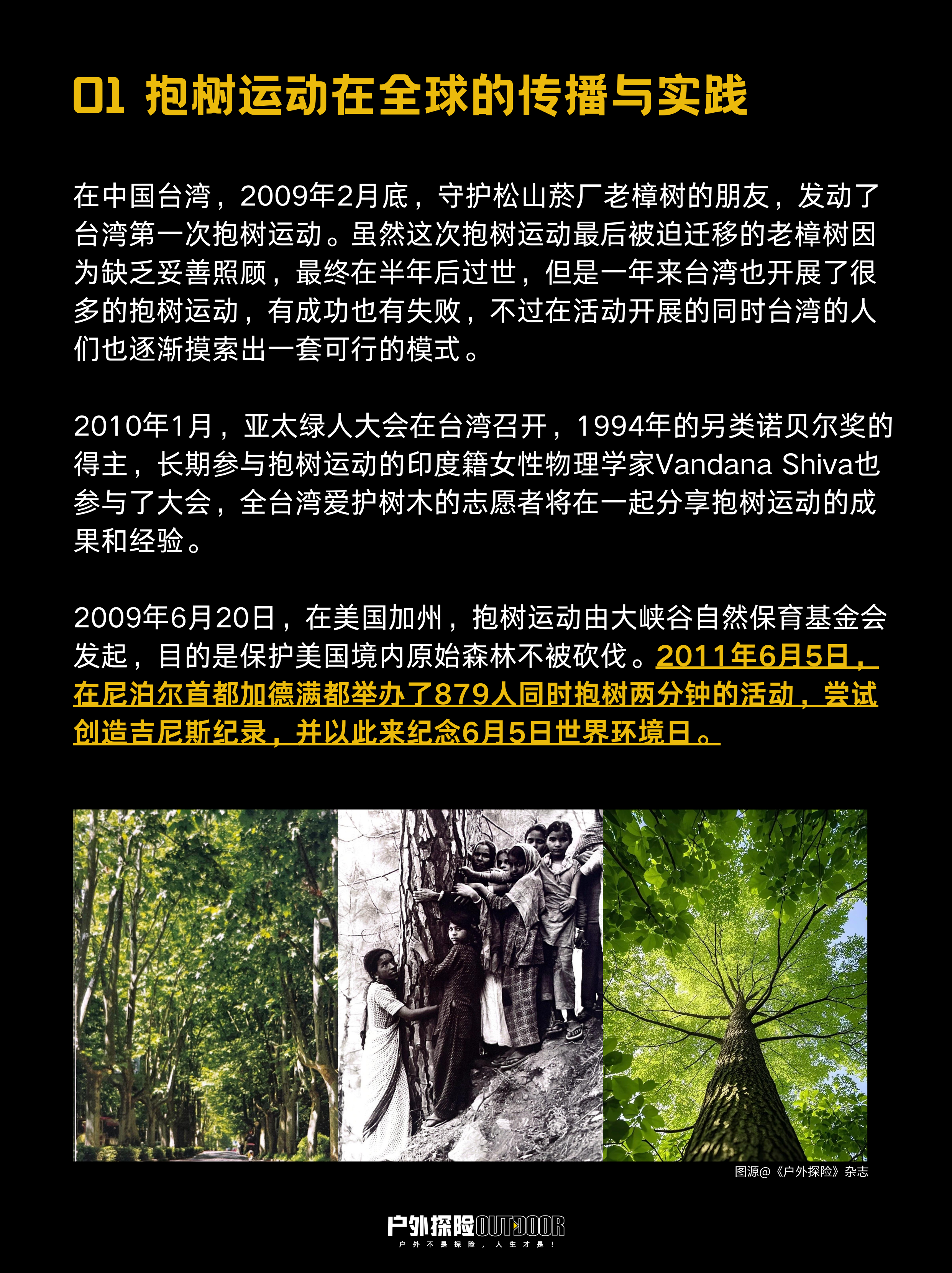 抱树运动何以兴盛?——重建附近的“生命能量场” - 知乎