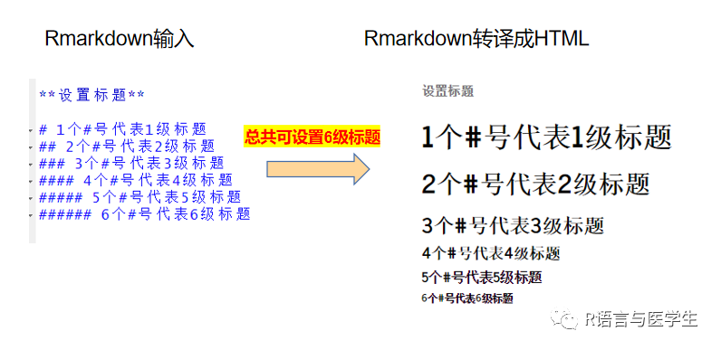 Rmarkdown学习-文本部分 - 知乎