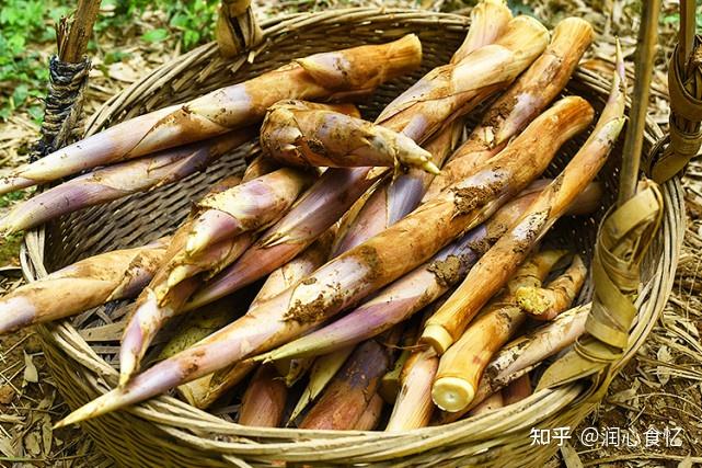 国内哪的笋最好吃？经过评比，8个地方比较出名，有你家乡吗？ - 知乎