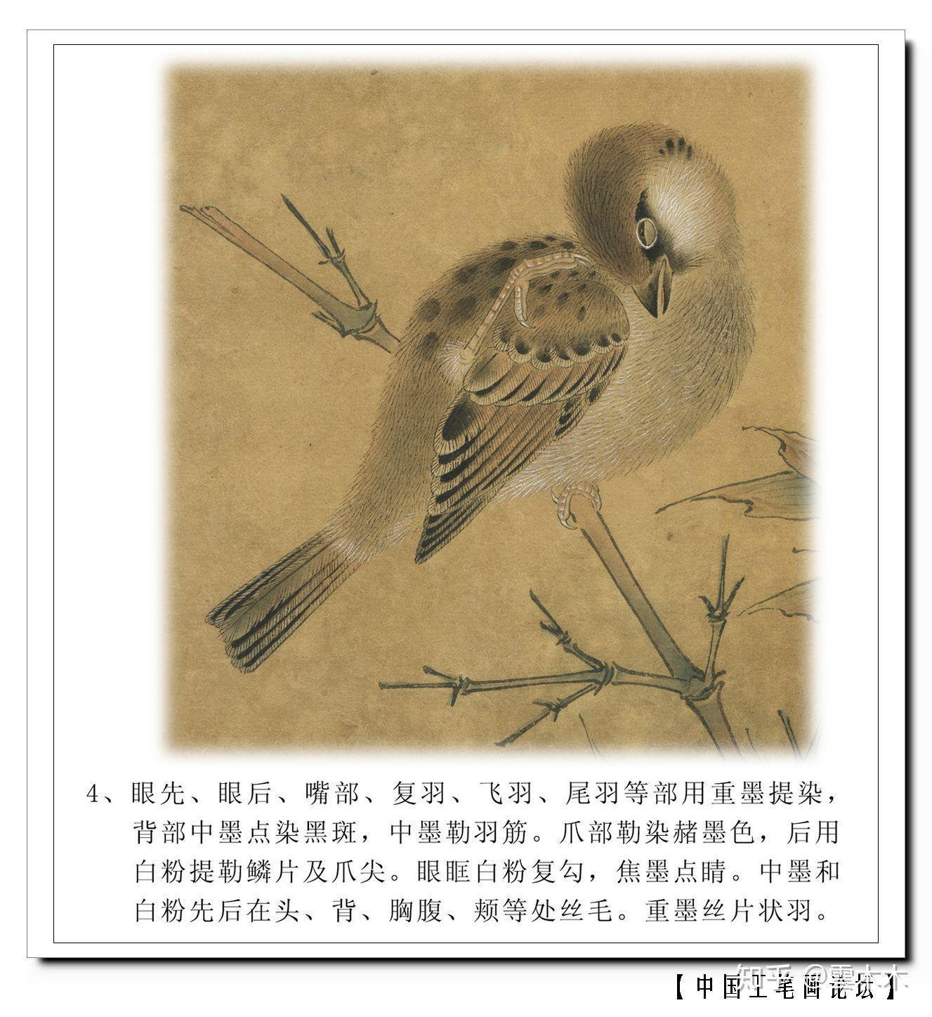 宋小品竹雀图工笔绘画步骤图