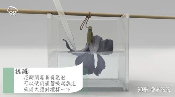 水晶滴胶diy教程制作干花标本凝住花儿盛开的娇颜